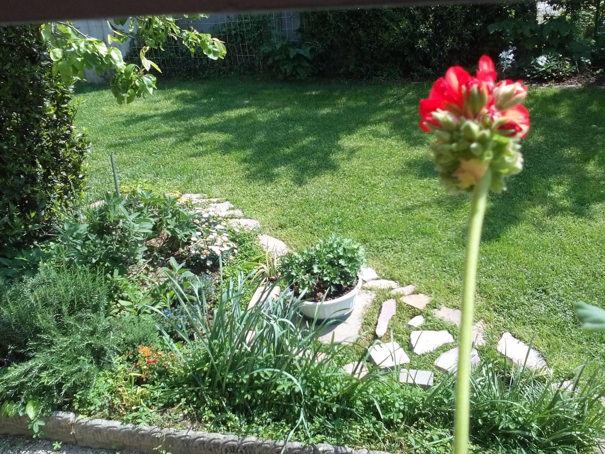 Casa Emanuela Bed & Breakfast Piazzola sul Brenta Dış mekan fotoğraf